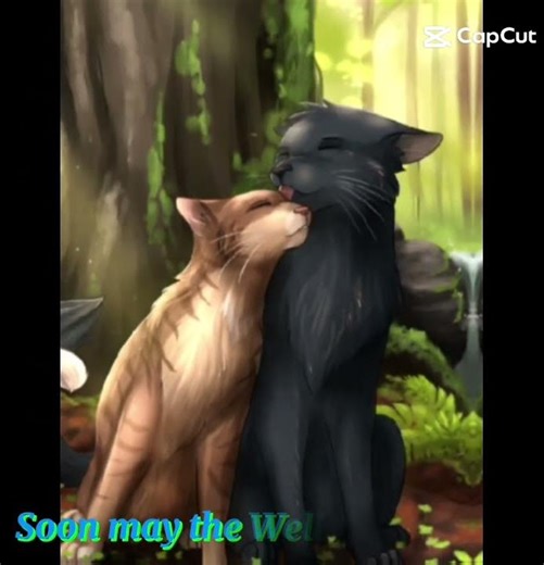 Crowfeather x Leafpool edit^^#warriorcats#edit