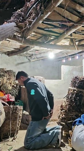 Transform & Dance: The Magic of Music and Costumes