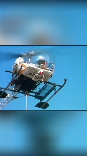 Billy the Bull – Epic Helicopter Rescue Mission! | Wildlife Saved Against All Odds