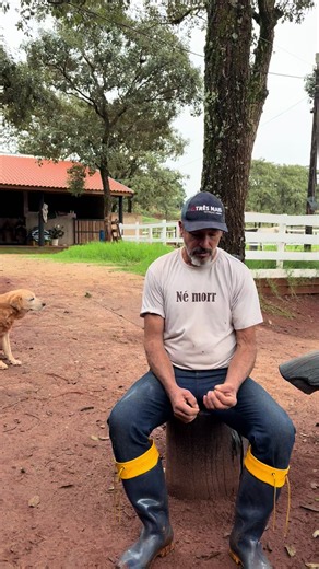 Vovô Anésio: lembranças, saudade e mensagem sobre a vida