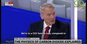 The suicidal insanity of NetZero