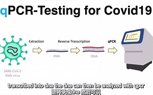 核酸检测原理-「qPCR反应」