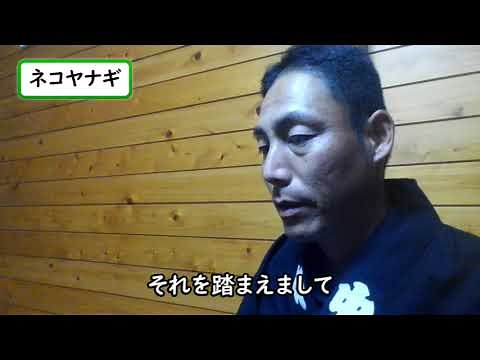ネコヤナギ(猫柳)の花・樹高・剪定 ～挿し木で増やせる木～ 加須市・久喜市・幸手市の植木屋