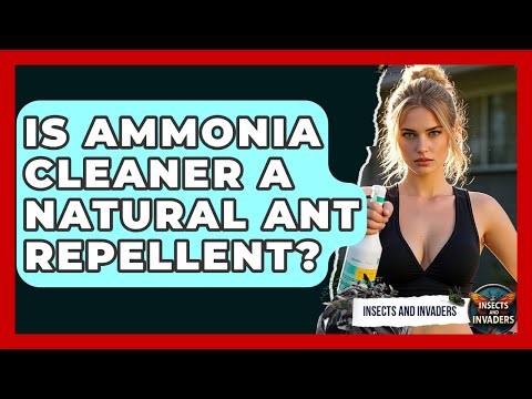 Is Ammonia Cleaner A Natural Ant Repellent? - Insects and Invaders