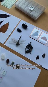 Every drop of water. Every leaf. Every insect. 🐞🍂💧 The Darwin M2 Microscope reveals hidden worlds all around us. ✔ 1600X Hybrid Zoom ✔ HD Photo & Video ✔ Wireless Sharing ✨ Order now & get 20% OFF with KS20 | First Backer Shop