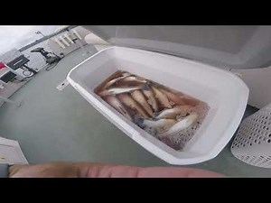 Lake Oconee fishing guide