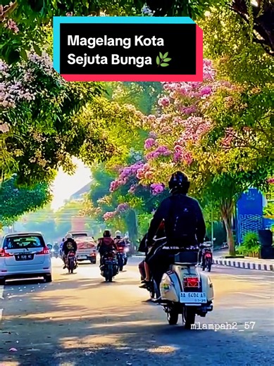 Magelang Kota Sejuta Bunga: Destinasi Bunga & Pemandangan