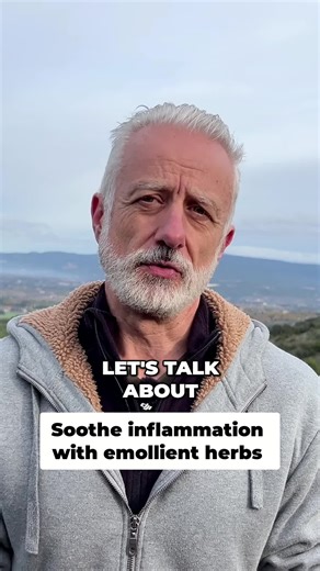 🌿 Mucilages and mucilaginous plants are amazing for soothing inflammation in your digestive tract. They create a natural coating that calms things down. Regular small doses keep the effect going. It's an emollient effect ! More informations in the article on my website : https://www.thefrenchherbal.com/podcast/mucilage-definition-benefits-and-herbal-uses/ 🌿#Mucilage #Digestion #Inflammation #GutHealth #Emollient