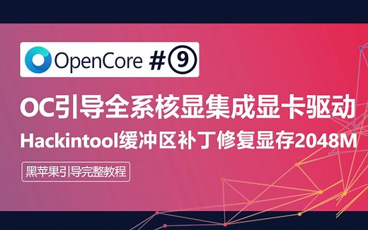 OC引导全系核显集成显卡驱动Hackintool缓冲区补丁修复显存2048M，OpenCore引导黑苹果macOS系统安装电脑黑屏花屏解决方案完整系列教程教学仿