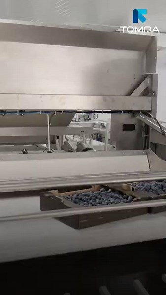 This machine sorts blueberries like magic | TOMRA KATO 260 with LUCAi™