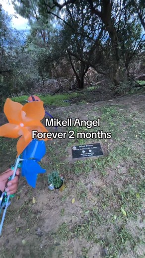 Benisha lamarsha on Instagram: "#viral #explore #exploremore #fy"