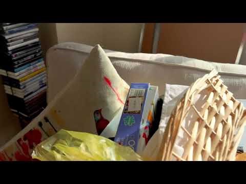 Cockroaches Crawling Throughout Cluttered Apartment