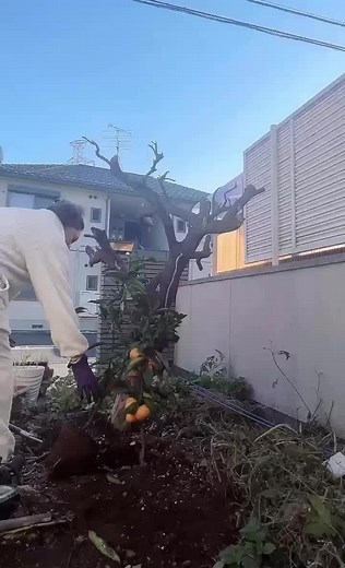 TikTokでRuby M Jewelさんをチェック！