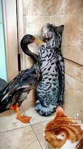 2.3M views · 55K reactions | Radio Number One on Reels | Facebook