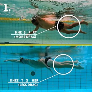 18 reactions | How do you go from novice swimmer to pro swimmer? Find out at www.swimgym.com/courses | SwimGym | Facebook