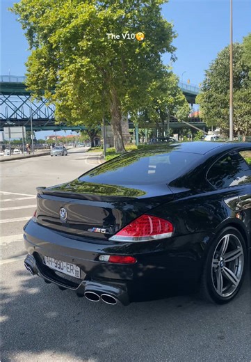 cars.byvieira_ on TikTok