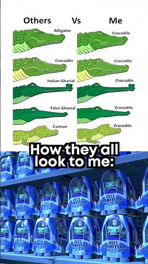 I can’t tell the difference 😭