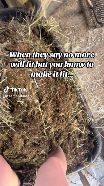 Just gotta get it to the corners and squished down #itsamandalee #clydesdale #onlyfarmer