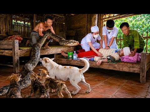 72 Hours Of Terror: Giant Python Ambushes A Sick Woman As Doctors Race To Save Her!