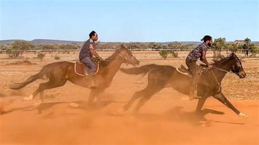 Lizard racing, best dressed cowboys: Inside Australia’s most remote horse races