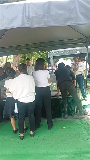 Dennis Andres on Reels