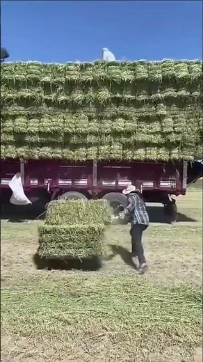The process of loading alfalfa stack using lifting device