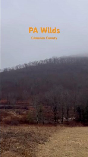 Welcome to Elk Country, Cameron County PA #pawilds #placesandpaths