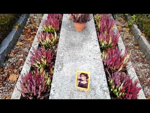 18 novembre 2017 - AUDREY HEPBURN CEMETERY