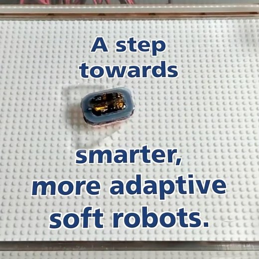 Soft robots get smarter with magnetic power and flexible batteries