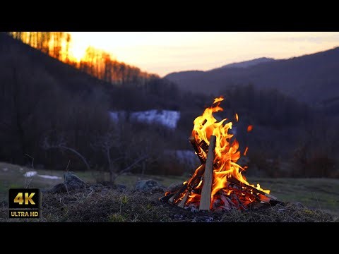 🔥🌞 Peaceful Campfire by the Sunset in 4K UltraHD | 4 Hours of Relaxing Fire Burning