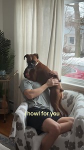 I Circle You — Noah Kahan Puppy Love with Boxer Dog