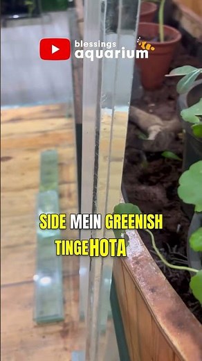 What is the difference between clear glass, extra-clear & ultra-clear glass? | Blessings Aquarium