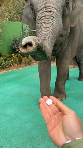 #March #March2025 #WelcomeMarch #HelloMarch #HappyMarch#GoodbyeFebruary #ThirdMonth #NewMonth #FreshStart #MarchSelfie #AshWednesday #DaylightSavingTime #SpringForward #StPatricksDay #MarchVibes#MarchMood #MarchInspiration #MarchWellness #MarchSelfcare #Selfcare #PrioritizeSelfcare #MarchMindset #MarchGoals #MarchChallenge #MarchMoments #MarchFestivities #MarchWeather #MarchSunset #MarchSunset #MarchHike #GetOutdoors #MarchRoadtrip #MarchWeekend #MarchFun #Fun #Family #Friends #MarchWedding #Mar