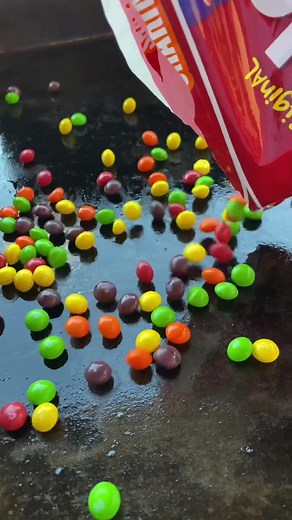 Little Cajun House on TikTok