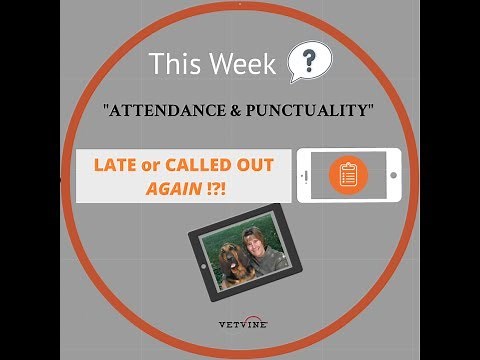 Employee Attendance and Punctuality