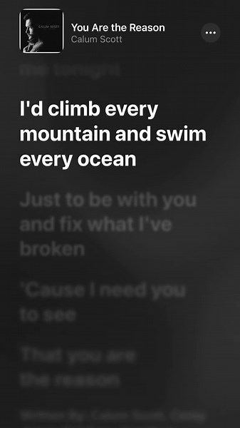you are the reason 🎧 #fyp #lyrics #lyricloft #youarethereason #calumscott