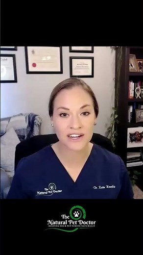 Natural Remedies for Cat Eye Infections with Holistic Veterinarian