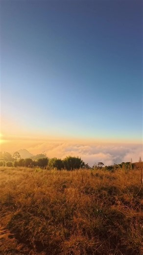 Trail run super santai di slamet via sawangan - alun alun mbaru - bukit rimpak #bukitrimpak2300mdpl #slametviasawangan #pendakitegal