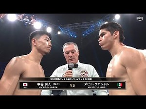 中谷潤人 vs ダビド・クエジャル - KO 試合 ハイライト