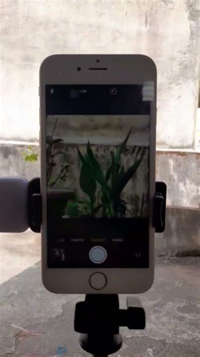 iphone 6s camera test #zoomtest #reviewin2025 #smartphone #test #iphone6s #shorts #tech #leave