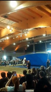 Ausschnitte aus unserer Show auf der Apropos Pferd ❤️ | Crazy Showhorses
