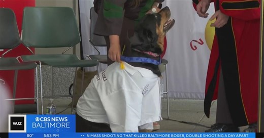 University of Maryland Baltimore honors service dogs with special ceremony