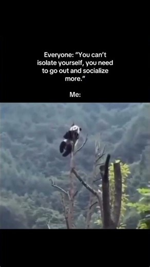 “You can’t isolate yourself, you need to go out and socialize more”