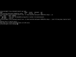 Getting a heap dump from a running java app in kubernetes