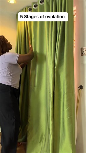 Understanding Ovulation Stages and Cramps