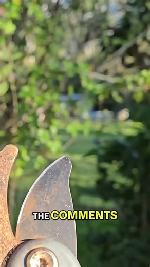 Sharpen tools fast! Ignore the haters it works!