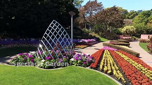 1.9K views · 119 reactions | Spring has sprung and our city has come alive with brilliant colour! Make the most of Brisbane's beautiful blooms with a visit to The Spectacle Garden at Roma Street Parkland – there are more than 15,000 annuals to admire! For more info, head here: https://bit.ly/3iGe5yT | The Weekend Edition Brisbane | Facebook