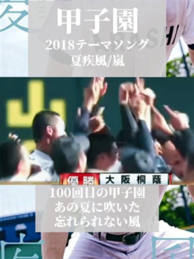 第100回高校野球大会まとめ｜あの日の『夏疾風』と大阪桐蔭の快進撃