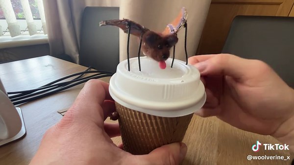 Bat! Bit of a work in progress this one. It’s really a precursor to something a bit bigger and more detailed I’m working on. I’ve been scratching my head over trying to combine automata wings and needle felt and still going through some ideas for it. For now please enjoy the cuteness and ignore the rushed execution, I needed a body for the wings and he just happened 🦇 👅 #needlefelting #needlefelt #automata #mechanism #art #movingart #handmadegifts #handmadecraft #crafts #artandcraft #artsandcr