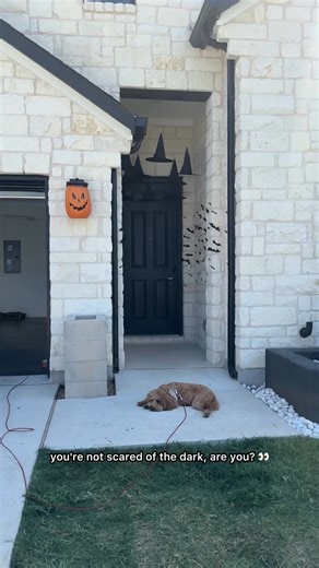  Illuminate Your World, Your Way.  Create custom patterns or choose from 100+ presets with our Smart Permanent Outdoor Holiday Lights. | Blomuse | Facebook